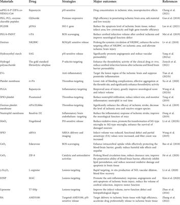 Advances in the research of nano delivery systems in ischemic stroke